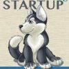 SMART Lead Magnet Kits - Internet Marketing Startup