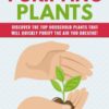 SMART Lead Magnet Kits - Purifying Plants